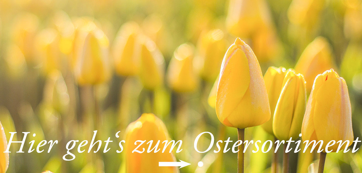 Unser Ostersortiment