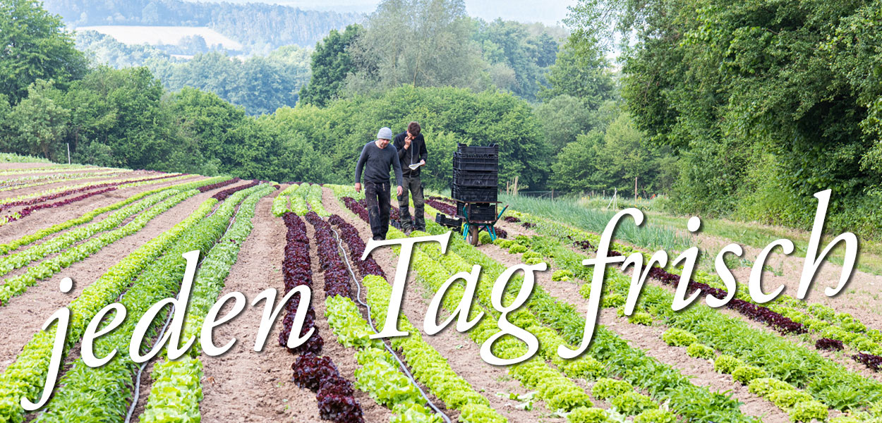 neu-preiswert-lecker
