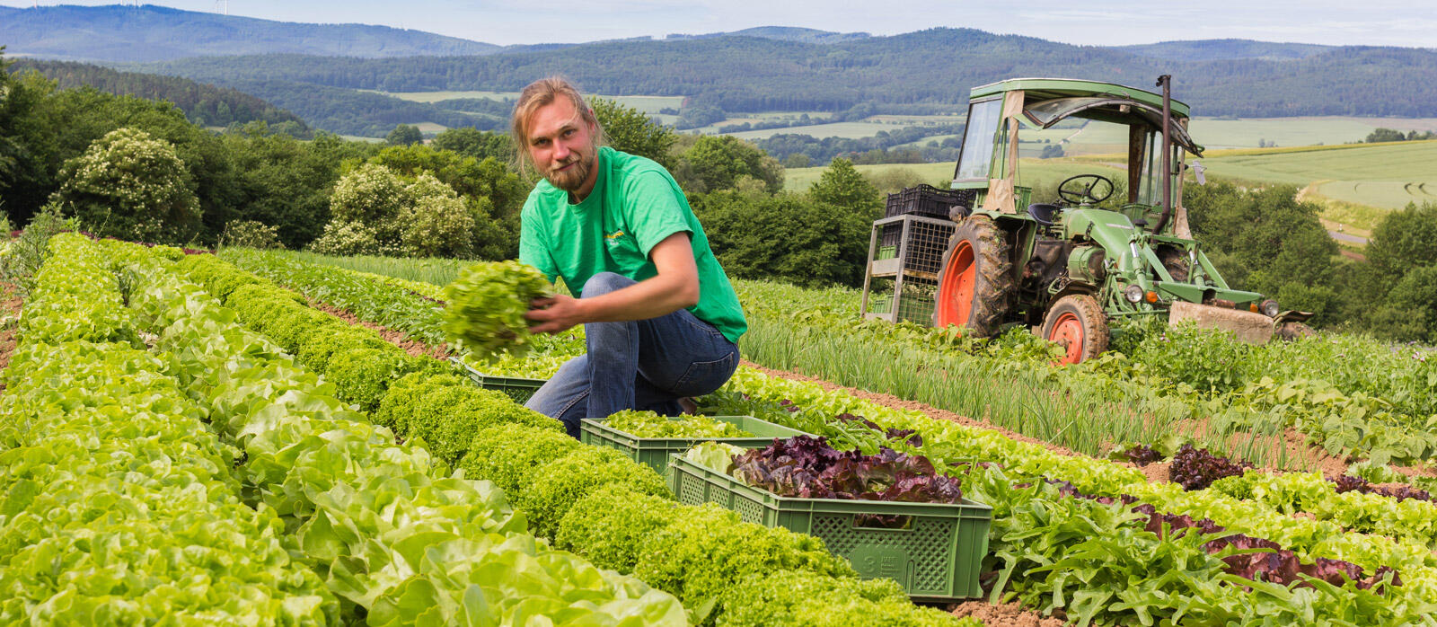 BioLieferservice Grüner Bote, Witzenhausen Regionale
