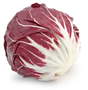 Radicchio