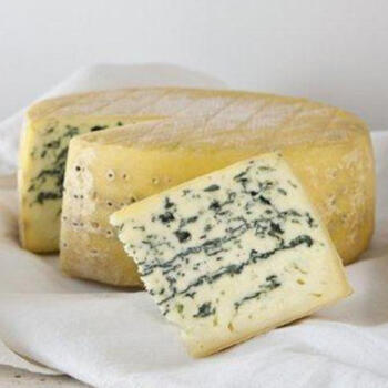 Friesisch Blue Backensholzer 50%FiTr