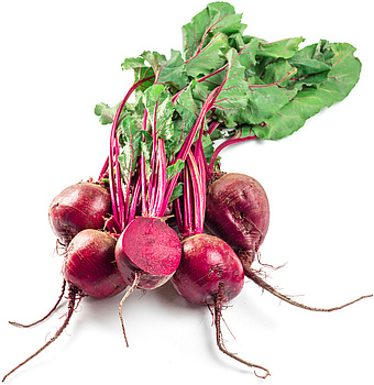 Rote Bete Bund