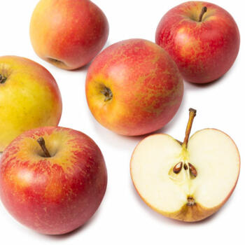 Äpfel Elstar, säuerlich-süß