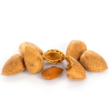 Mandeln frisch, mit Schale